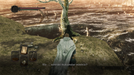 1643677029158